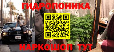 не бодяженный Заводоуковск