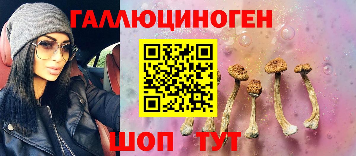 Псилоцибиновые грибы Psilocybe Киржач